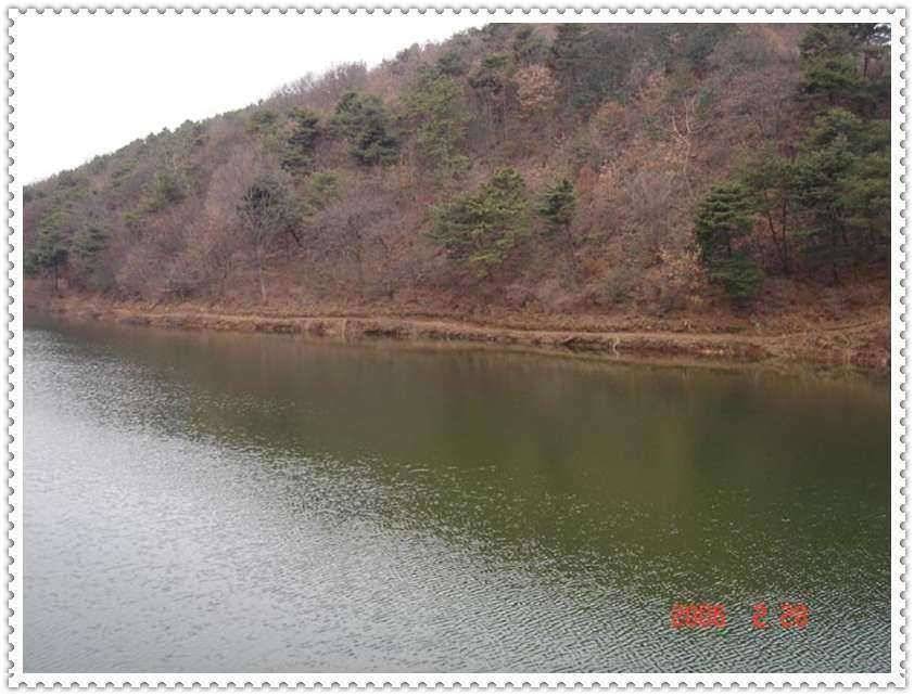 무모한 도전12만평준계곡관리지에서 대물채비공략기 (유료터정보 - 유료터조행기)