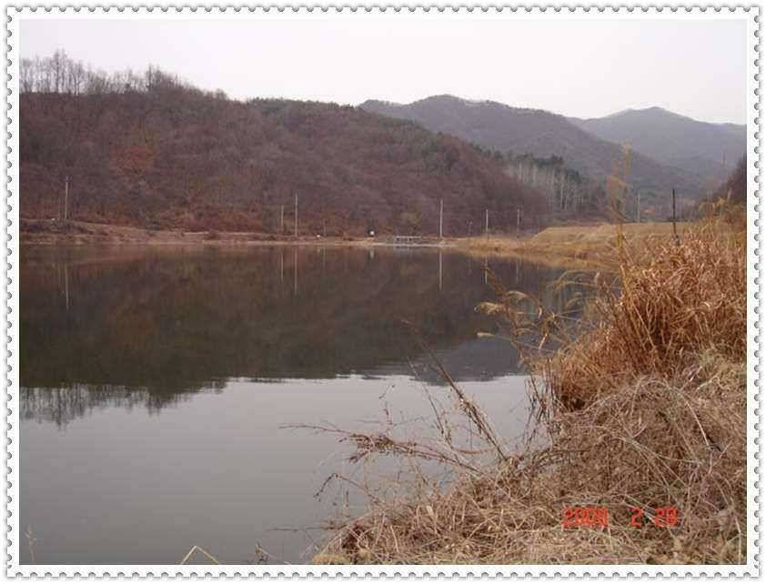 무모한 도전12만평준계곡관리지에서 대물채비공략기 (유료터정보 - 유료터조행기)