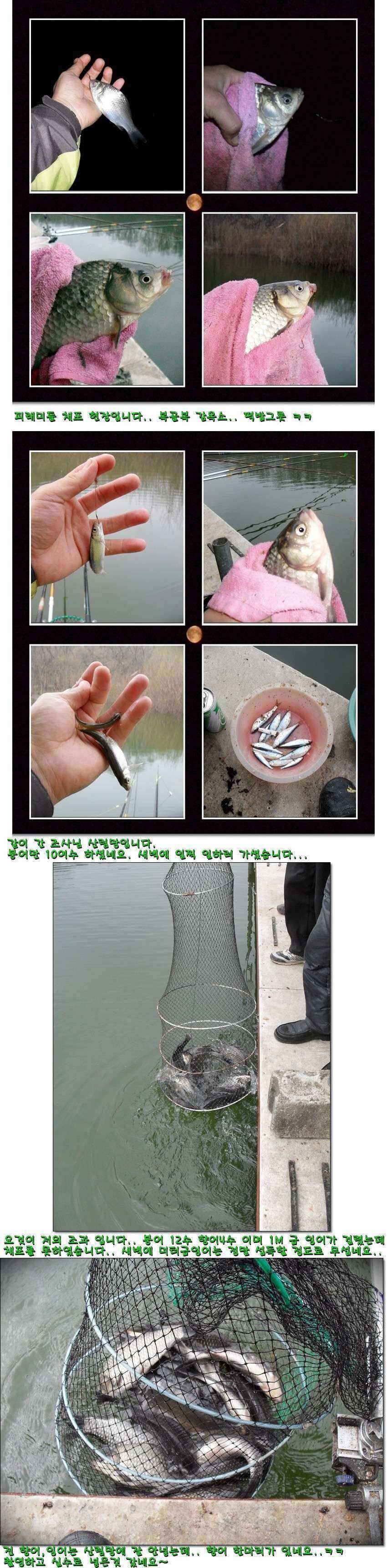 화포속 그림같은 포인트 (유료터정보 - 유료터조행기)
