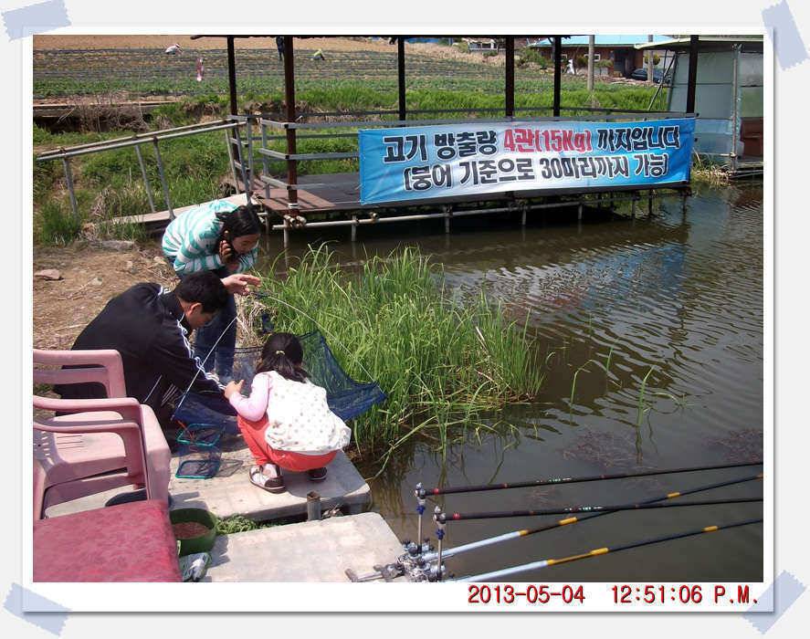 충남 아산 월선낚시터 5월 4일 실시간 조황보고 (유료터정보 - 유료터조행기)
