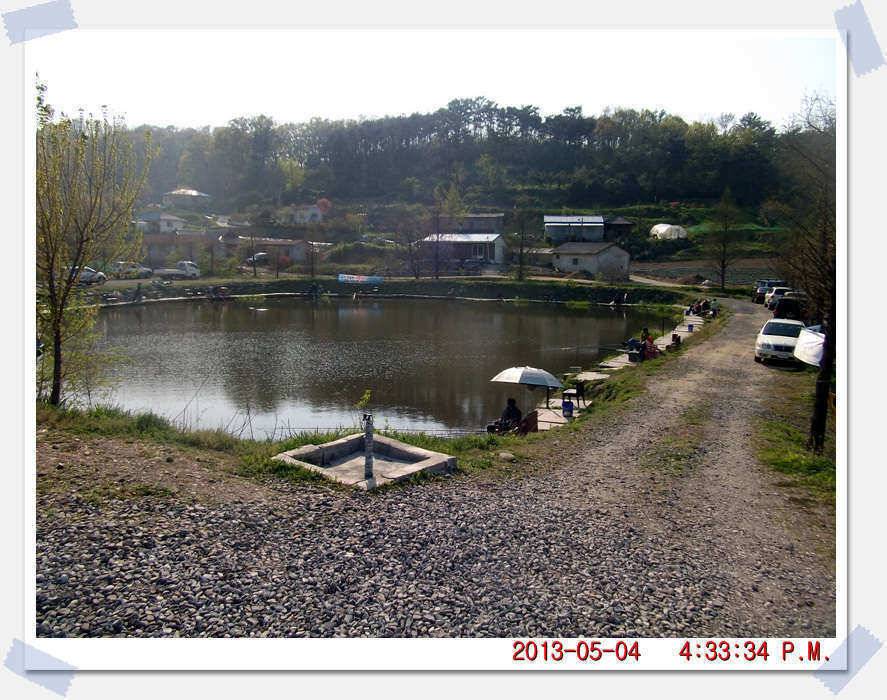 충남 아산 월선낚시터 5월 4일 실시간 조황보고 (유료터정보 - 유료터조행기)