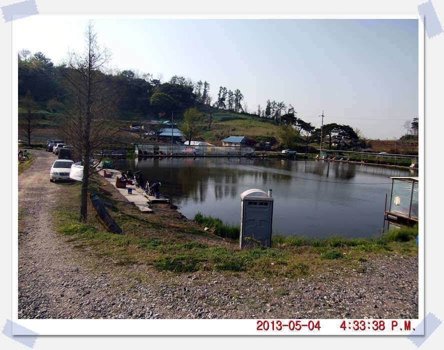 충남 아산 월선낚시터 5월 4일 실시간 조황보고 (유료터정보 - 유료터조행기)