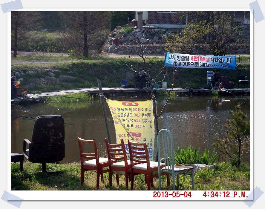충남 아산 월선낚시터 5월 4일 실시간 조황보고 (유료터정보 - 유료터조행기)