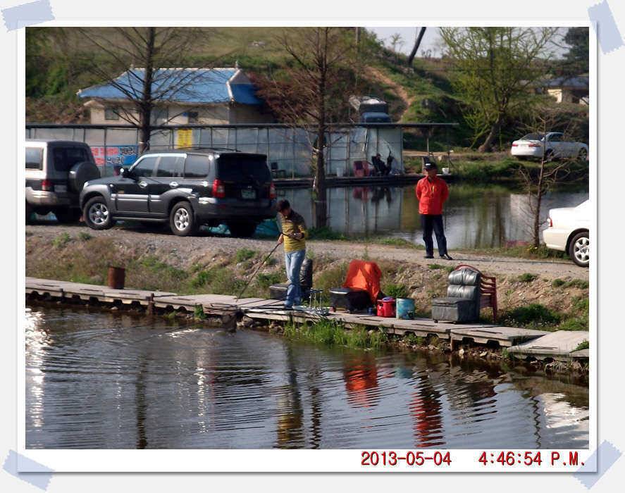 충남 아산 월선낚시터 5월 4일 실시간 조황보고 (유료터정보 - 유료터조행기)