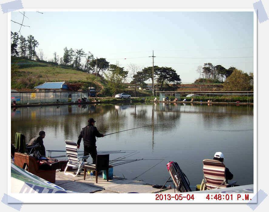 충남 아산 월선낚시터 5월 4일 실시간 조황보고 (유료터정보 - 유료터조행기)