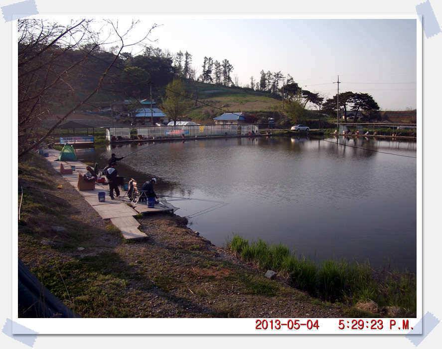 충남 아산 월선낚시터 5월 4일 실시간 조황보고 (유료터정보 - 유료터조행기)