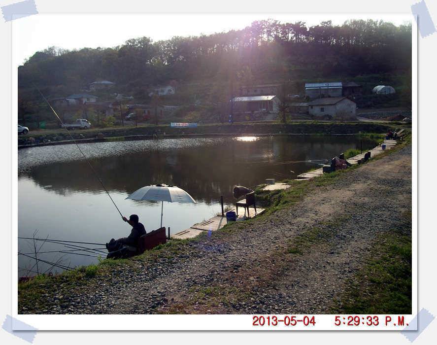 충남 아산 월선낚시터 5월 4일 실시간 조황보고 (유료터정보 - 유료터조행기)