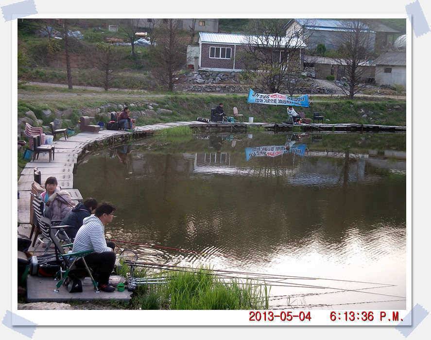 충남 아산 월선낚시터 5월 4일 실시간 조황보고 (유료터정보 - 유료터조행기)