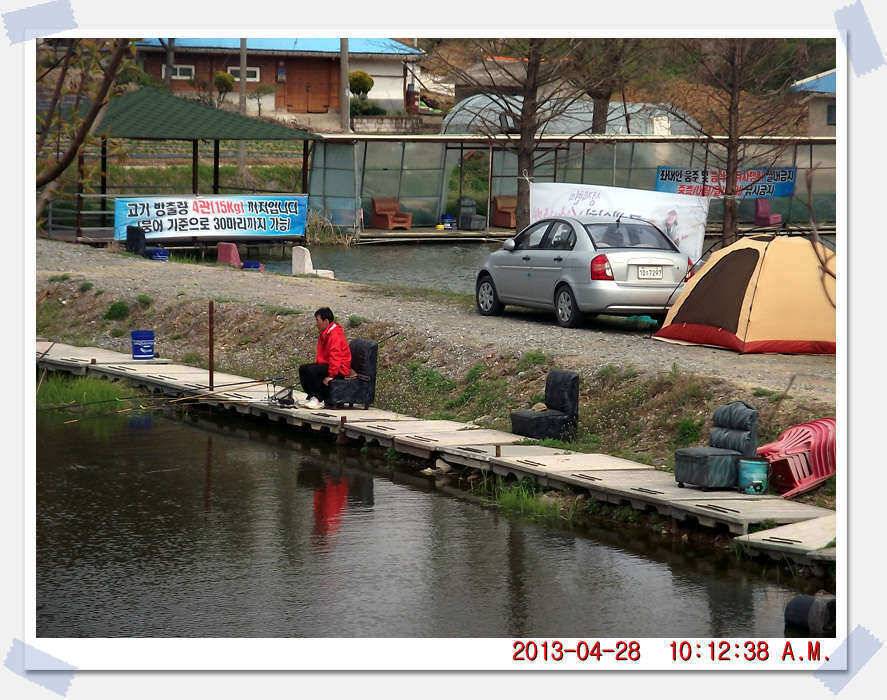 충남 아산 월선낚시터 4월 29일 실시간 조황보고 (유료터정보 - 유료터조행기)