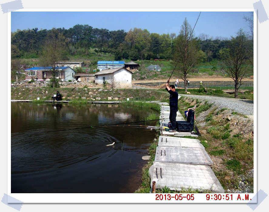 충남 아산 월선낚시터 5월 5일 실시간 조황보고 (유료터정보 - 유료터조행기)