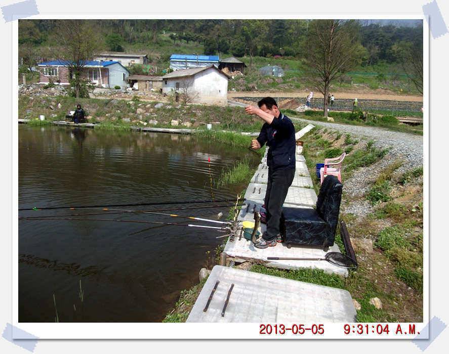 충남 아산 월선낚시터 5월 5일 실시간 조황보고 (유료터정보 - 유료터조행기)
