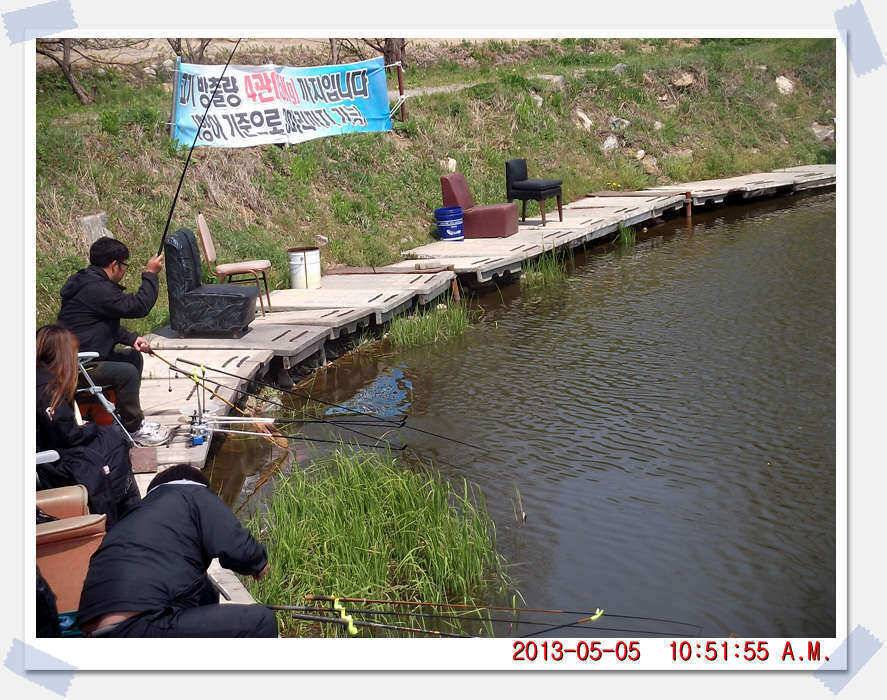 충남 아산 월선낚시터 5월 5일 실시간 조황보고 (유료터정보 - 유료터조행기)