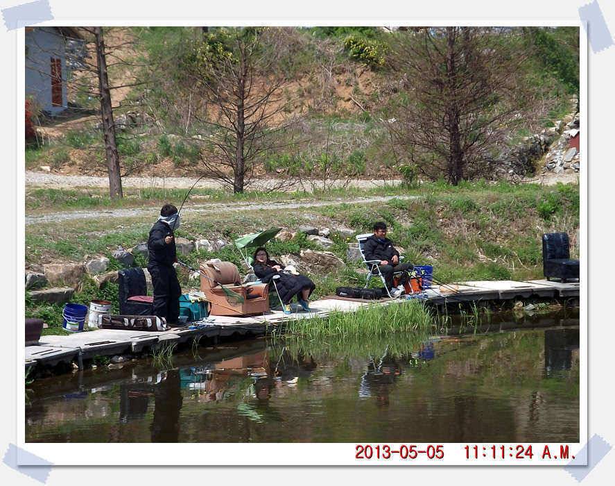 충남 아산 월선낚시터 5월 5일 실시간 조황보고 (유료터정보 - 유료터조행기)