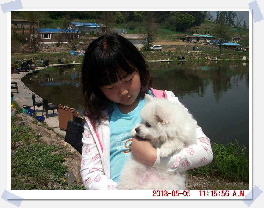 충남 아산 월선낚시터 5월 5일 실시간 조황보고 (유료터정보 - 유료터조행기)