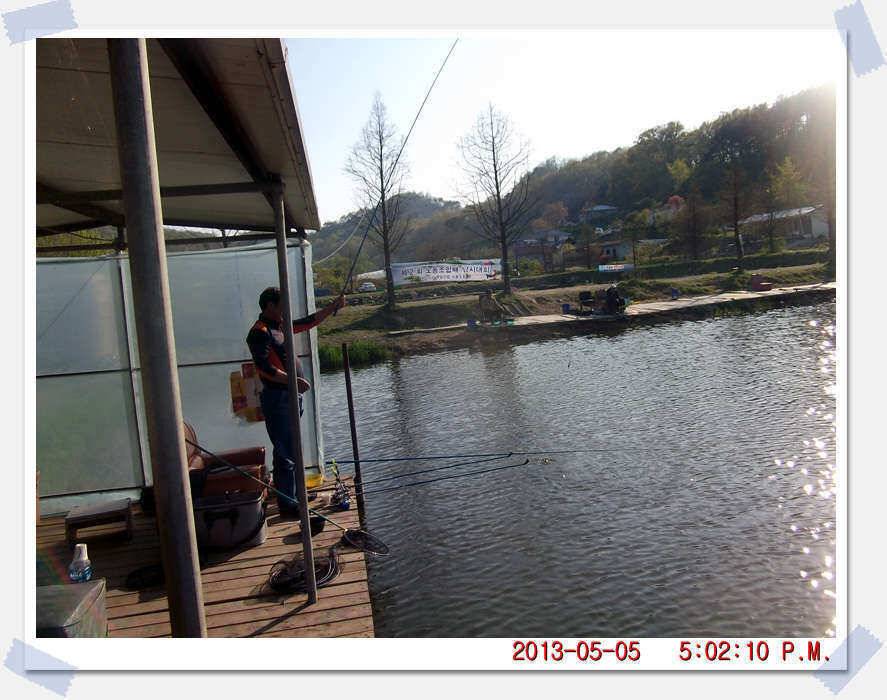 충남 아산 월선낚시터 5월 5일 실시간 조황보고 (유료터정보 - 유료터조행기)