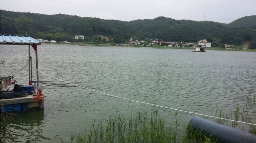 용인 신원저수지에서 4짜를 잡다 (유료터정보 - 유료터조행기)