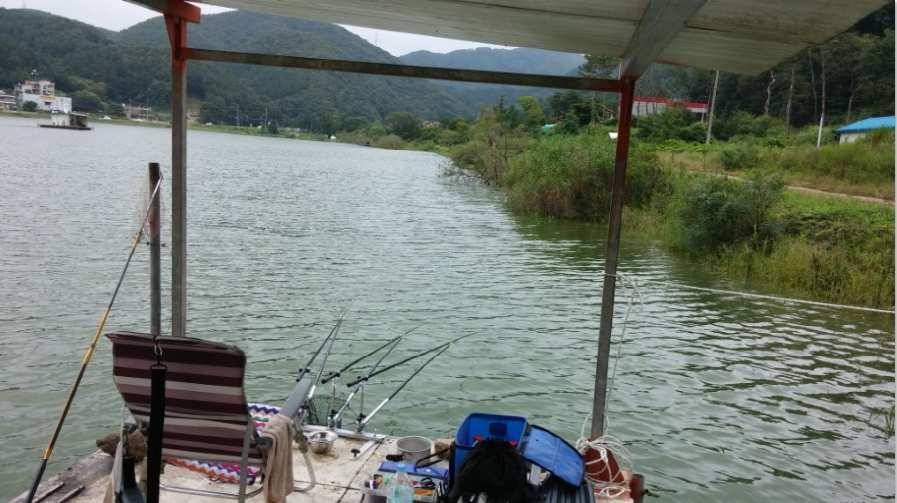용인 신원저수지에서 4짜를 잡다 (유료터정보 - 유료터조행기)