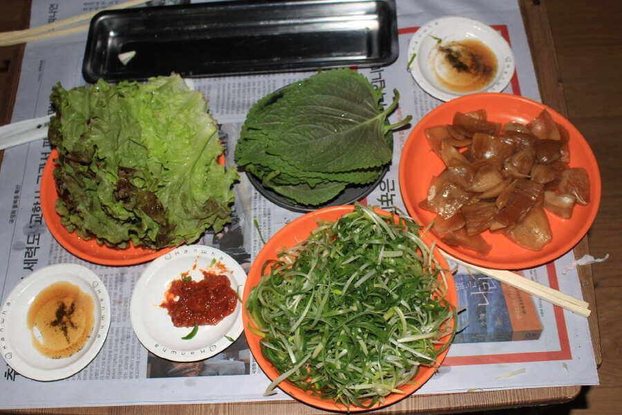 괴산 문광지 (유료터정보 - 유료터조행기)