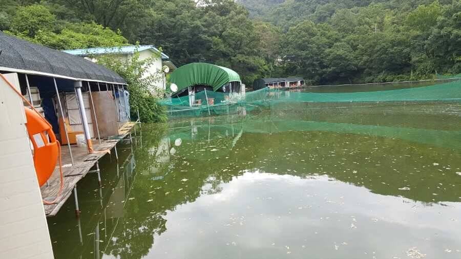 구봉낚시터 ㅡ 외유내강 (유료터정보 - 유료터조행기)