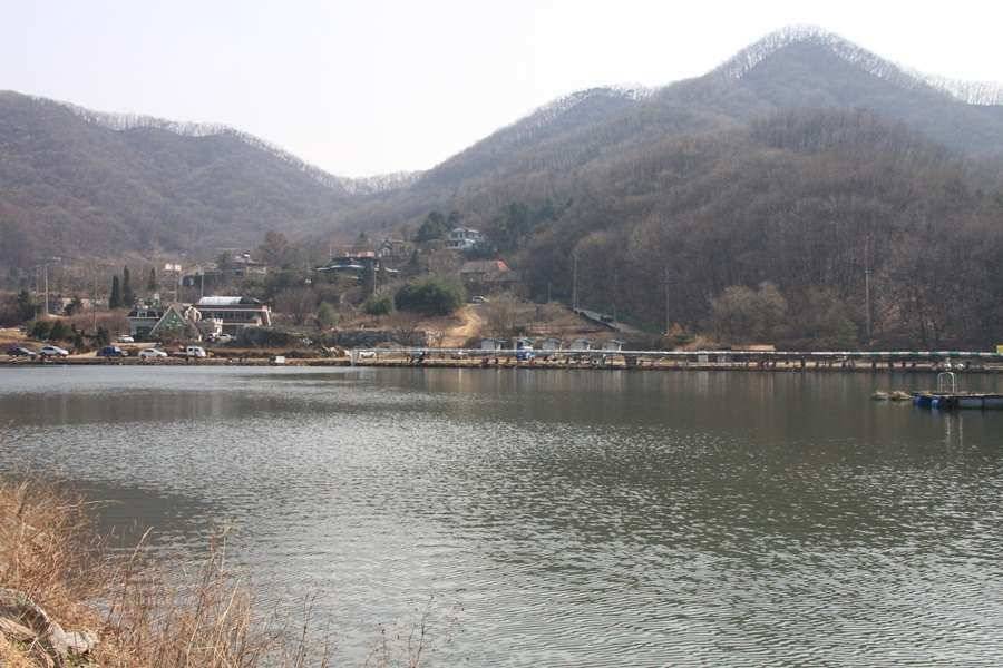 늘 편안한 진우낚시터 (유료터정보 - 유료터조행기)