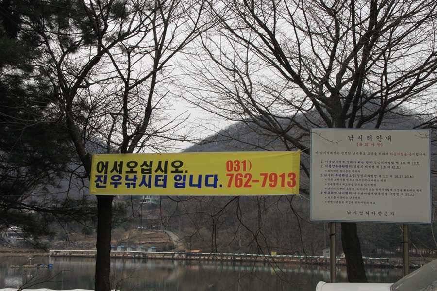 늘 편안한 진우낚시터 (유료터정보 - 유료터조행기)