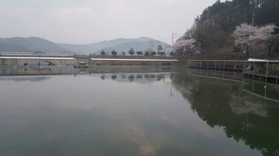금광호수낚시터 후후파파님과 대석낚시터 비밀 (유료터정보 - 유료터조행기)