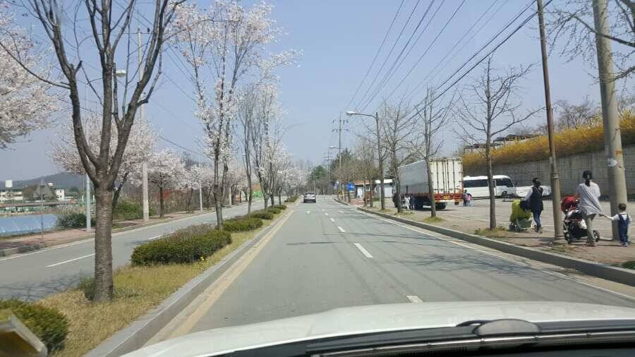 금광호수낚시터 후후파파님과 대석낚시터 비밀 (유료터정보 - 유료터조행기)