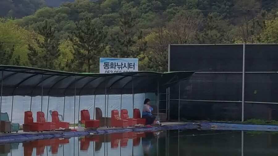 동화낚시터에서 (유료터정보 - 유료터조행기)