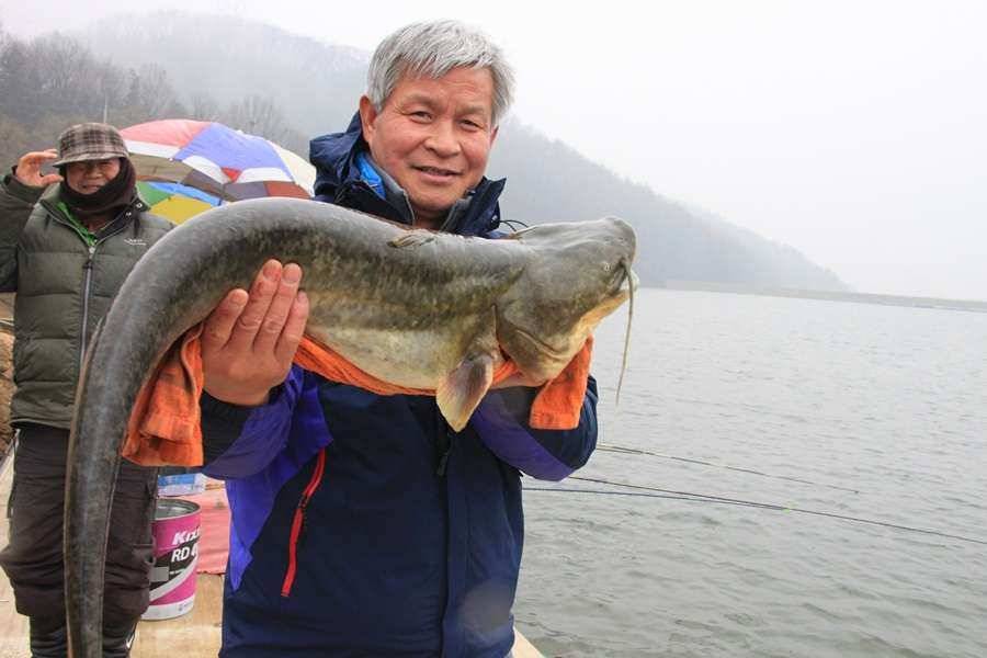 진우지 메기 (유료터정보 - 유료터조행기)