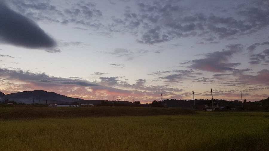 paypic_bdd72_125449_18095.jpg