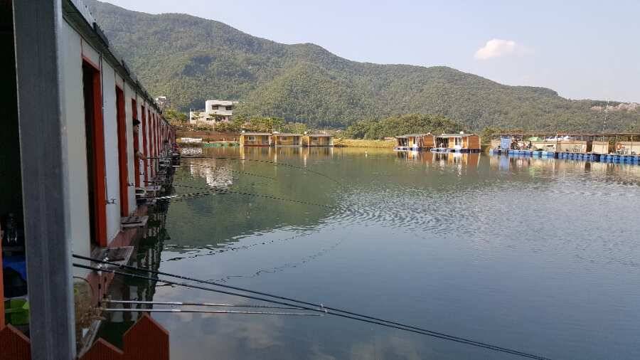paypic_c0fd1_085614_55464.jpg