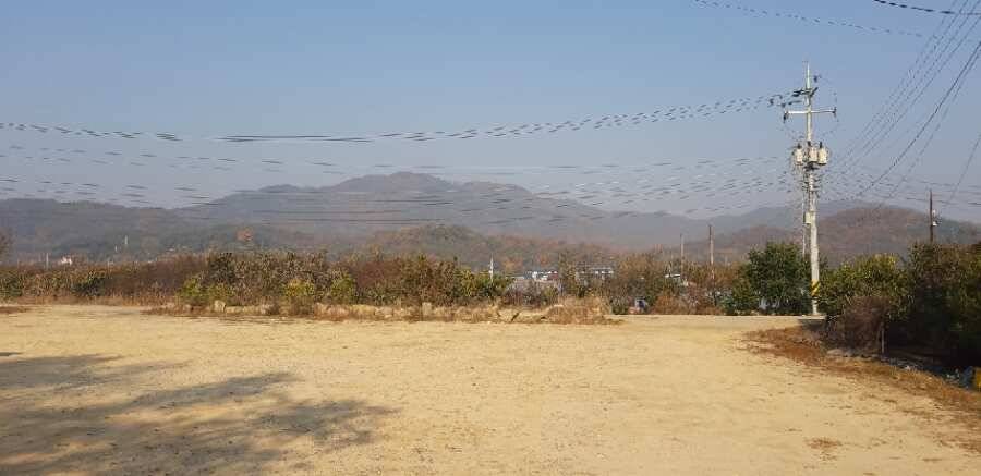 paypic_ce655_050927_88929.jpg