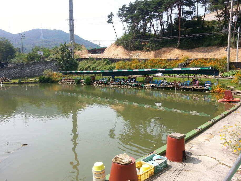추석연휴 첫날을 옥포랜드에서 (유료터정보 - 유료터조행기)