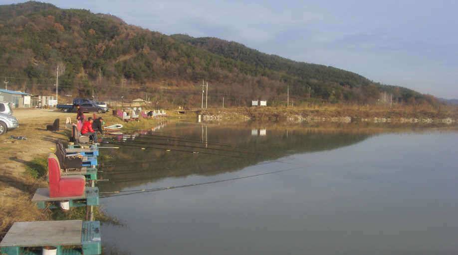 해바라기 찌 사용기 (유료터정보 - 유료터조행기)