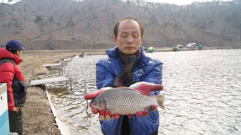 개장 방문해주신 조사님들 너무 감사드립니다 토종붕어 전문낚시터 태안 소근지입니다 (유료터정보 - 유료터조행기)