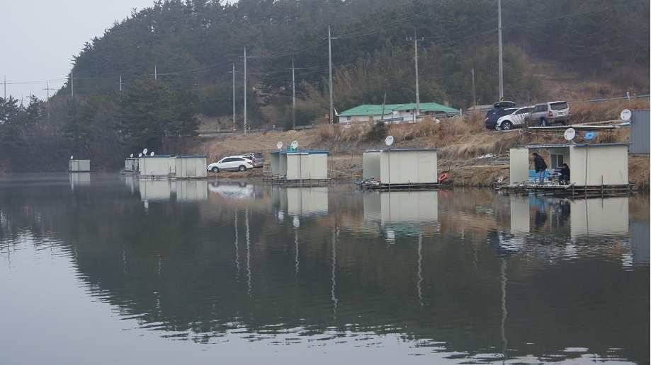 한결 포근해진 날씨와 더불어 조황이 좋아지고 있습니다 토종붕어하면 역시 태안 소근지 입니다 (유료터정보 - 유료터조행기)