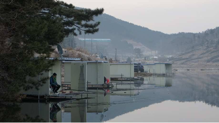 소근리낚시터 토종붕어 전문 낚시터 태안 소근지입니다 묵직한 손맛을 준비하고 새롭게 조사님들을 모십니다 (유료터정보 - 유료터조행기)