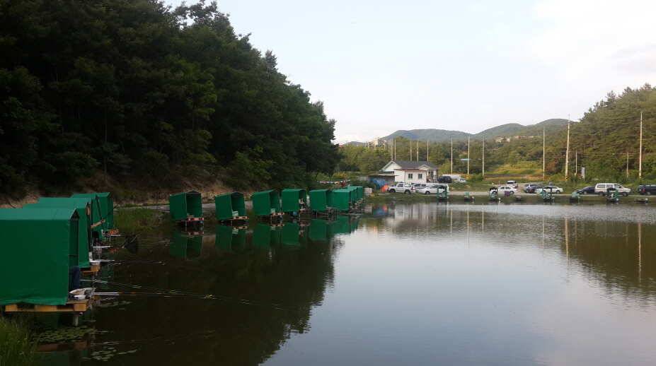 경주동산낚시터를 다녀와서 (유료터정보 - 유료터조행기)