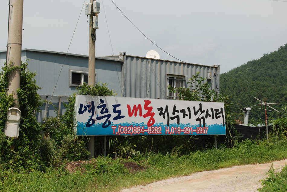 영흥도내동낚시터 (유료터정보 - 유료터조행기)