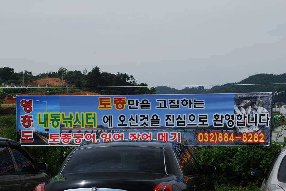 영흥도내동낚시터 (유료터정보 - 유료터조행기)