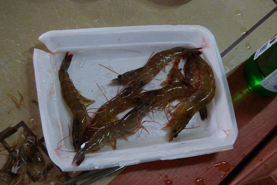 영흥도내동낚시터 (유료터정보 - 유료터조행기)