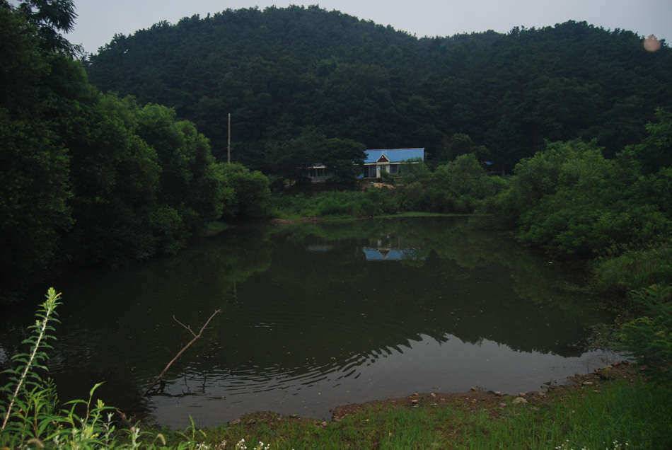 토종터신원낚시터 (유료터정보 - 유료터조행기)