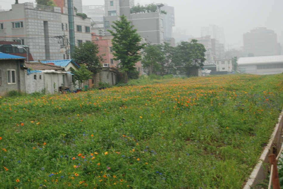 본죽낚시터손맛터 (유료터정보 - 유료터조행기)