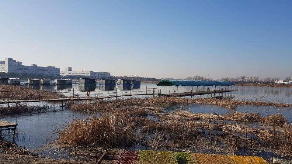 안석 낚시터 하우스 출조 (유료터정보 - 유료터조행기)
