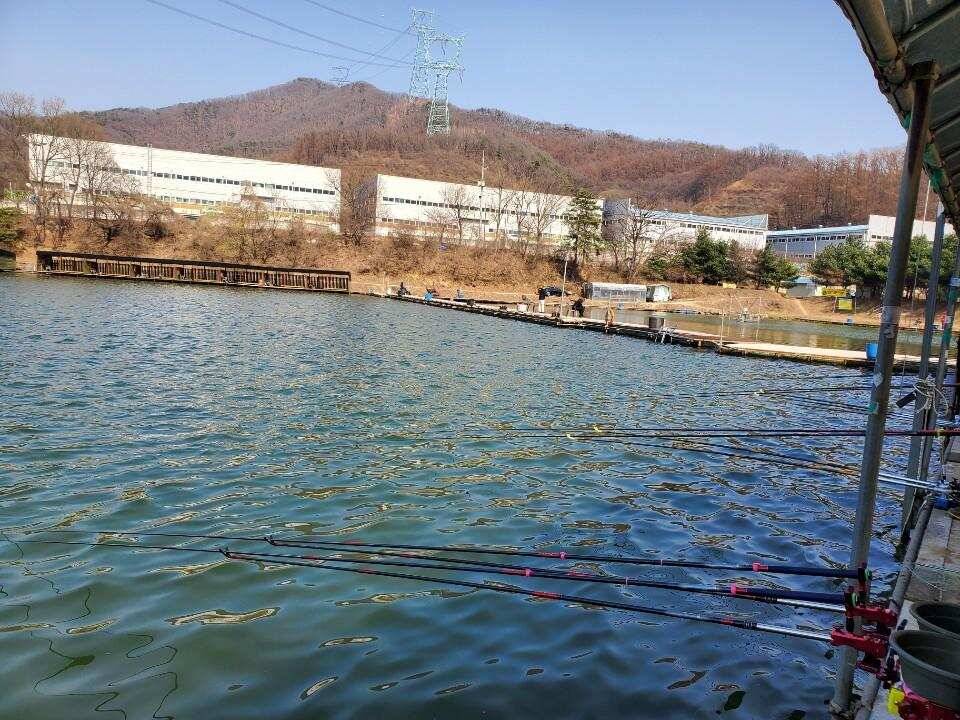 경기광주 진우 낚시터 (유료터정보 - 유료터조행기)