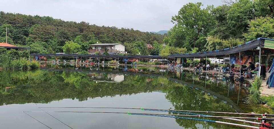 블랙베어의 유료터 조행기 우금낚시공원 (유료터정보 - 유료터조행기)
