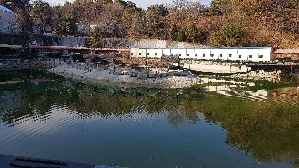 여주낚시터 하우스 조행기 (유료터정보 - 유료터조행기)