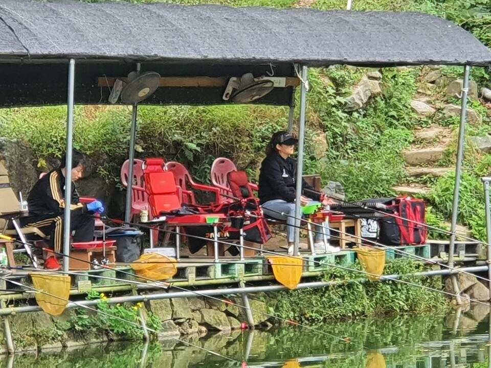 주말 부부조행 어수정 낚시터 (유료터정보 - 유료터조행기)