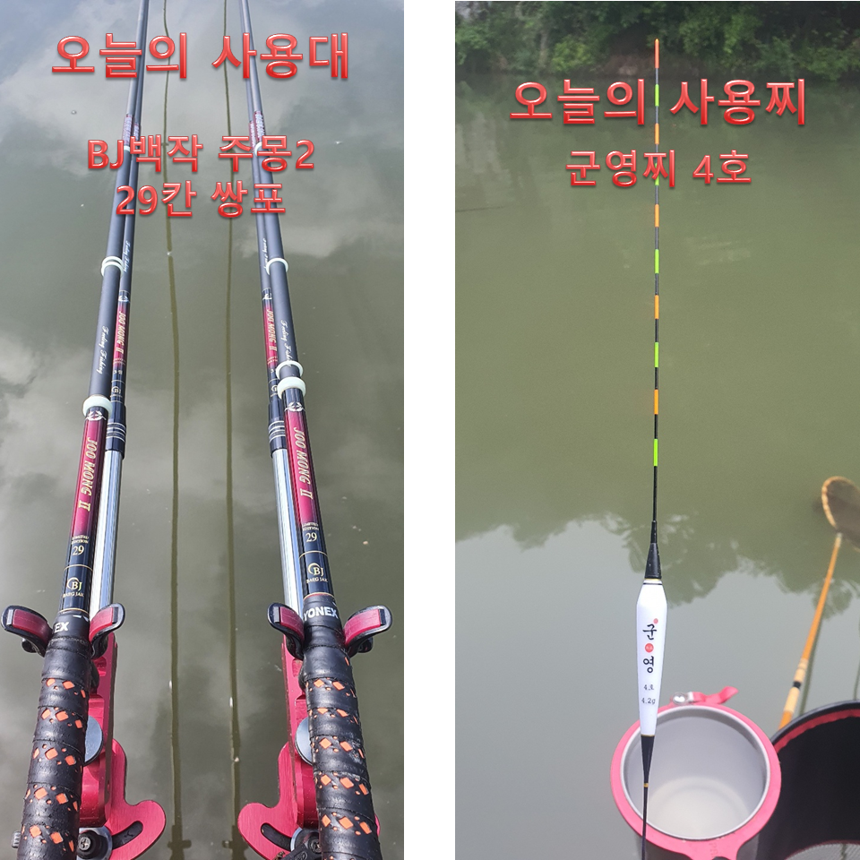 유료터정보 > 유료터조행기 > 블랙베어의 유료터 조행기 - 안성 장광 낚시터