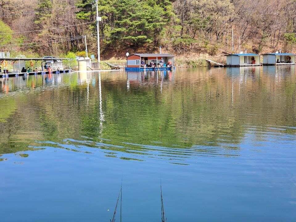 4월18일 요덕골 낚시터 출조 (유료터정보 - 유료터조행기)